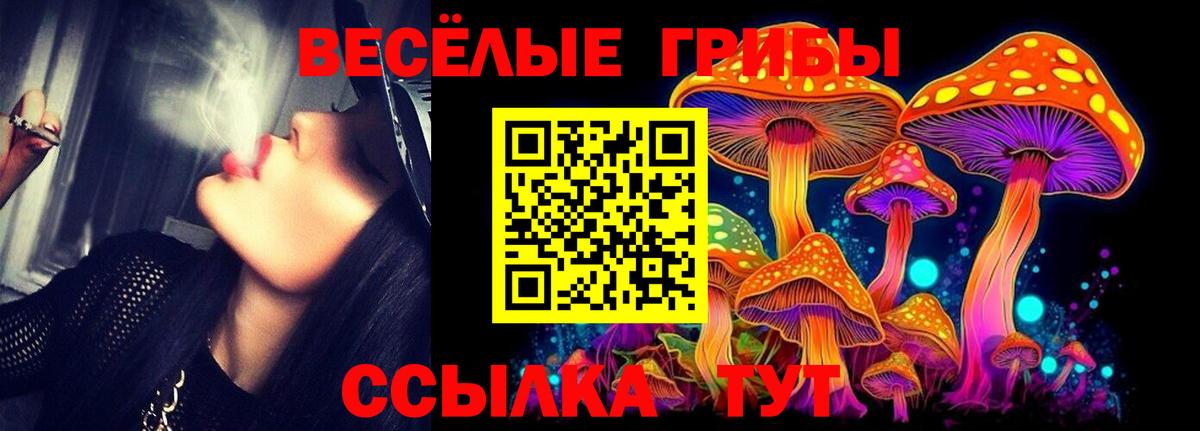 Галлюциногенные грибы Psilocybe  Псилоцибиновые грибы ЛСД  Вход с VPN  Луга 