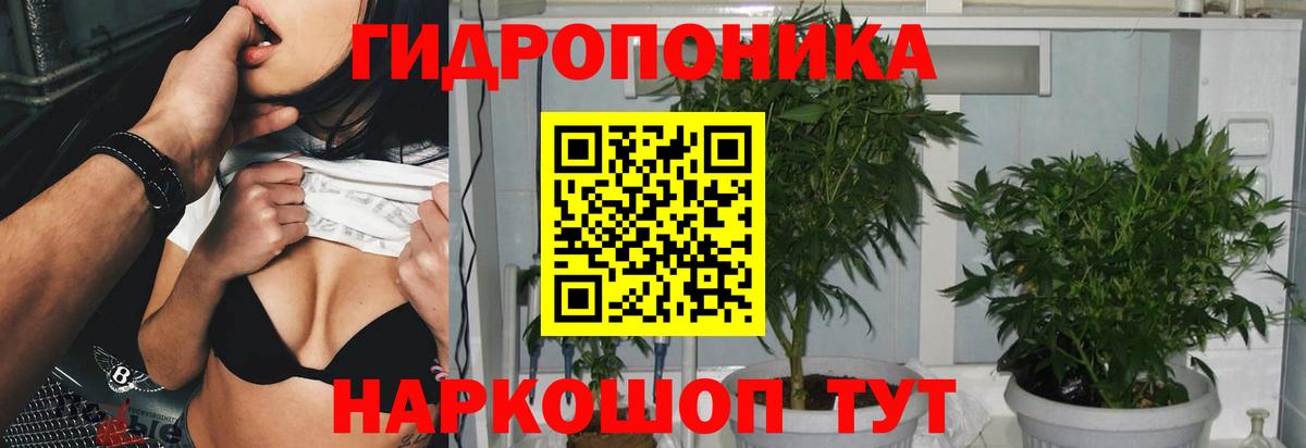 Шишки марихуана Ganja Луга