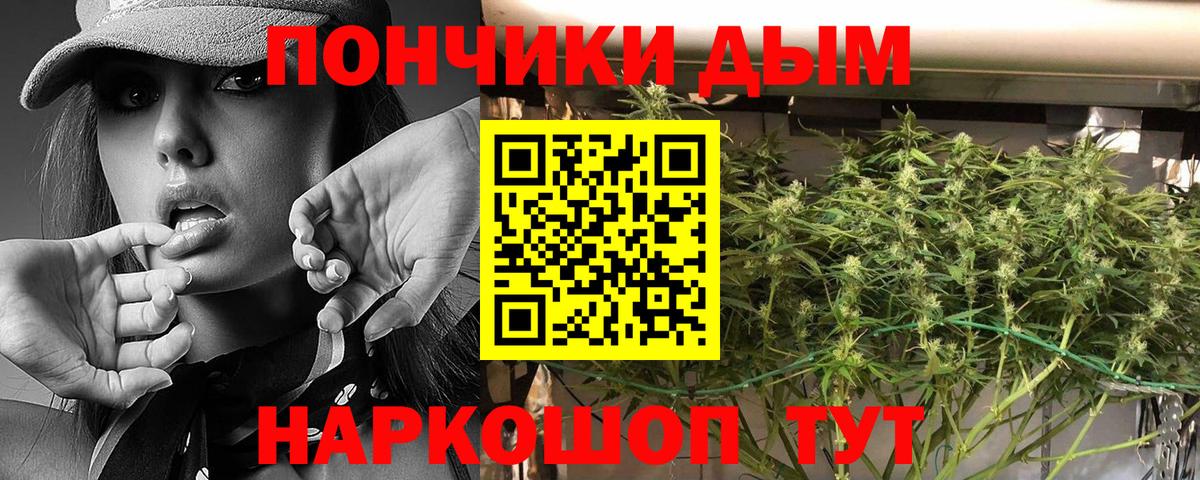 Луга  Канабис сатива  Марихуана гибрид  Вход с VPN 